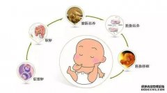 促排卵计划