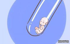 囊胚、鲜胚移植与冻胚移植