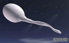 囊胚培养的好处