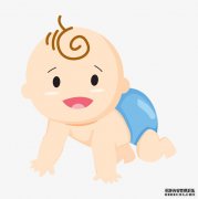 制造试管婴儿的整个进程是什么？