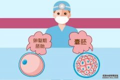 爱之晶：禁止商业代孕国家之法律规制（英国）