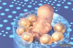 女性该如何正确的保养卵巢？