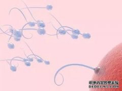 男性精子质量如何提高？