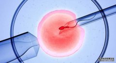 如何保养卵巢提高试管成功率？（1）