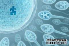 什么是卵巢反应低？武汉三代试管官网
