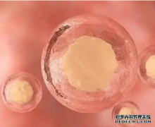 小卵泡取了能培育成熟吗?武汉试管官网