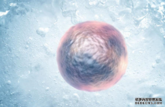 爱之晶详细介绍冻融胚胎和胚胎冷冻的区别
