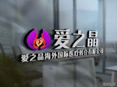 Hello IVF：试管成功率和取卵