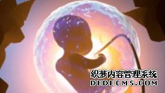 Hello IVF：胚胎移植前，哪些指标需要达标？
